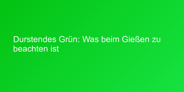 Durstendes Grün: Was beim Gießen zu beachten ist