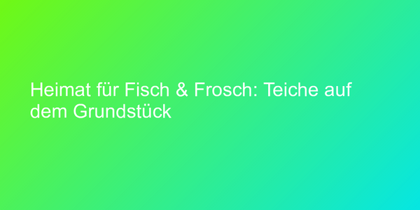 Heimat für Fisch & Frosch: Teiche auf dem Grundstück