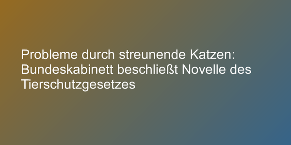 Probleme durch streunende Katzen: Bundeskabinett beschließt Novelle des Tierschutzgesetzes