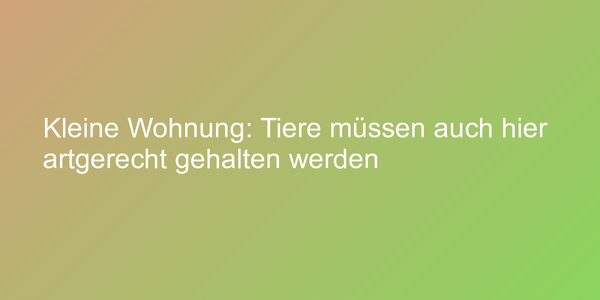 Kleine Wohnung: Tiere müssen auch hier artgerecht gehalten werden