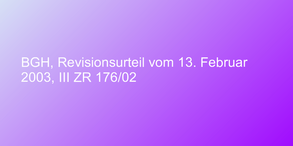 BGH, Revisionsurteil vom 13. Februar 2003, III ZR 176/02