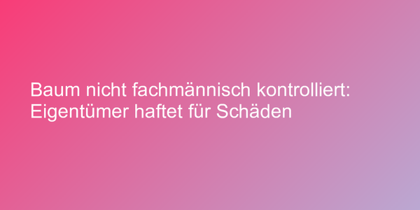 Baum nicht fachmännisch kontrolliert: Eigentümer haftet für Schäden